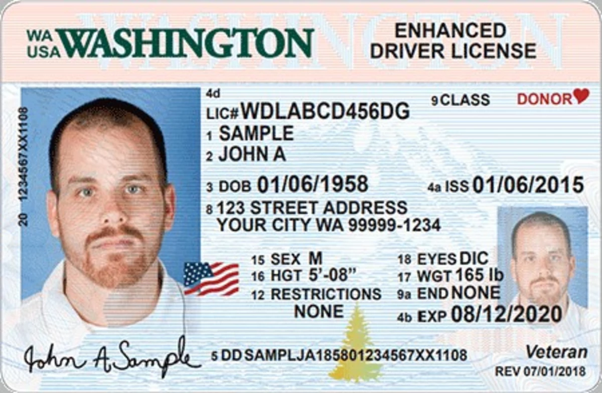 American Driver License