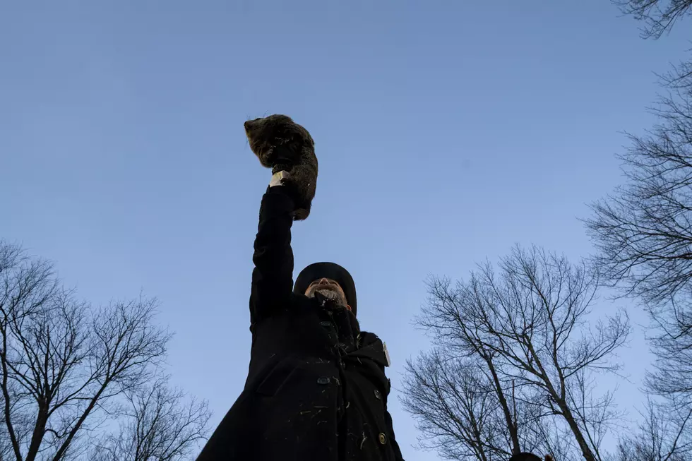 Does Groundhog Day Really Matter for Tri-Cities Weather?