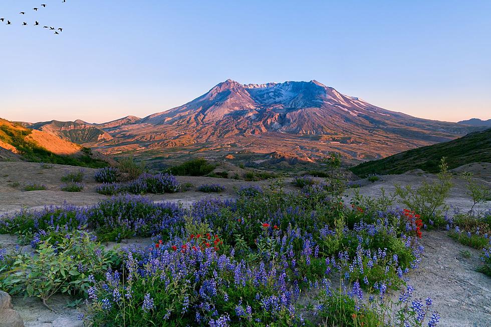 New Study Shows Washington Volcanoes Intertwined