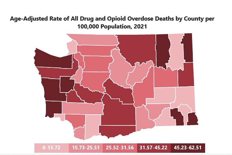 Washington State DOH Launches New Drug Dashboard
