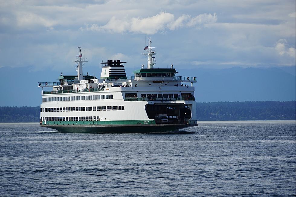 What Caused A Washington State Ferry to Run Aground?