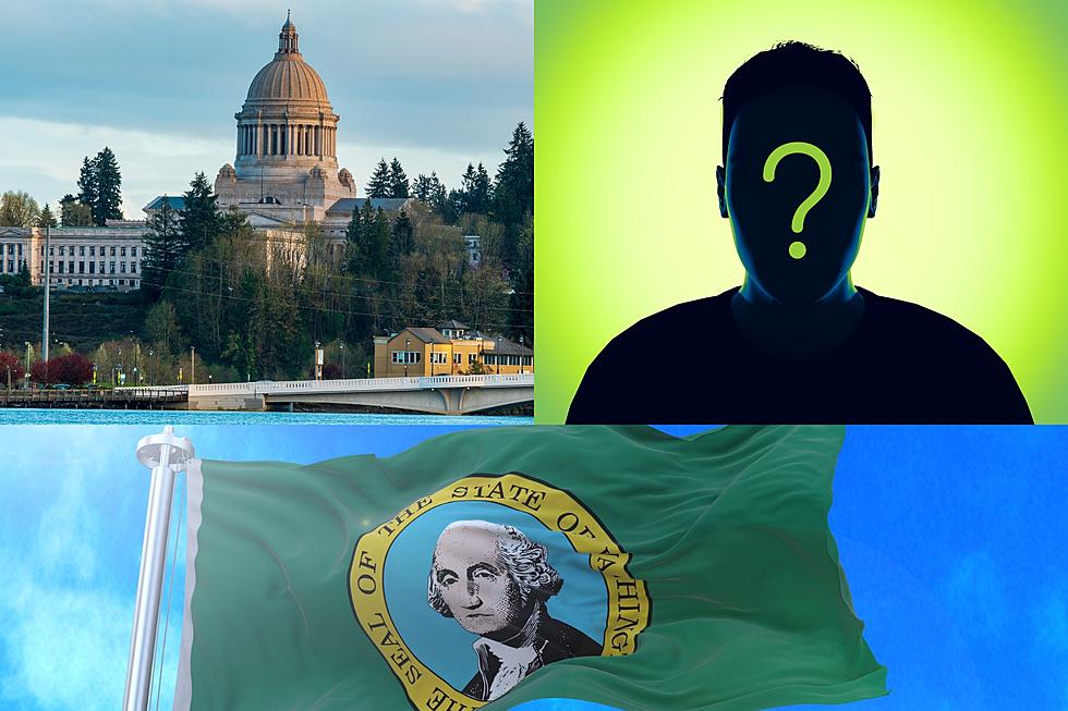 Who Will Be Washington State's Next Governor?