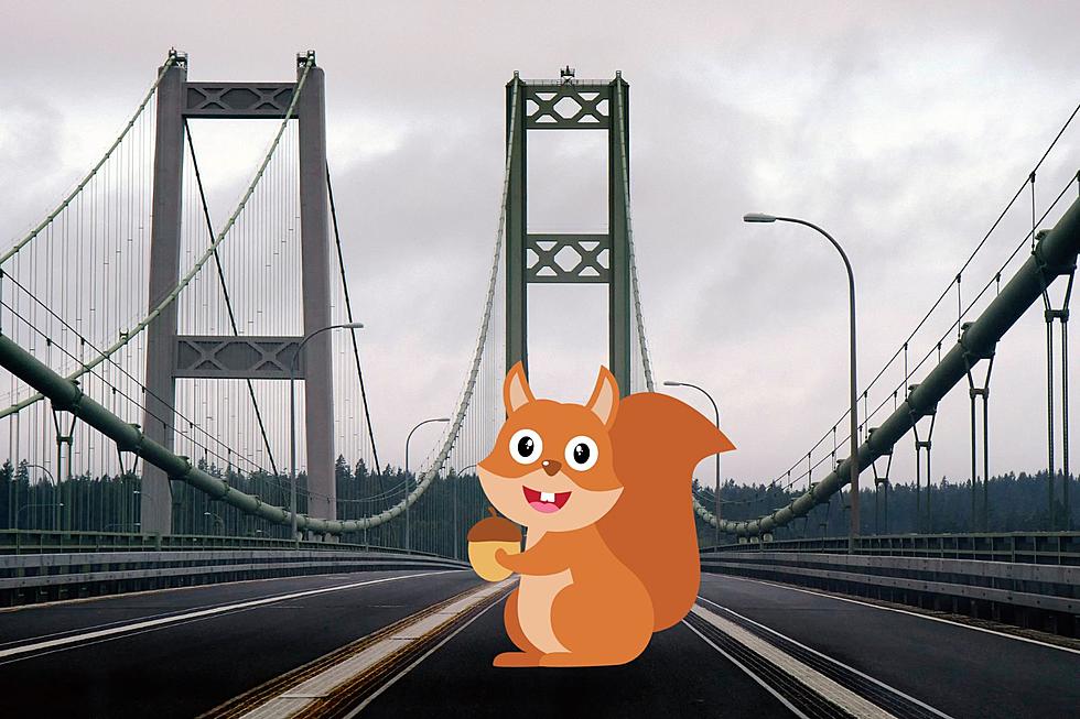 Have You Ever Crossed the Nutty Narrows Bridge in Washington?
