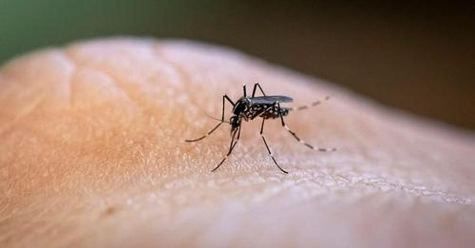 West Nile Alert: Benton County Sees Spike in Cases