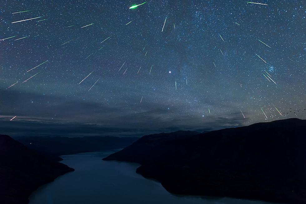 Look Up Washington! The Perseid Meteor Shower is Here