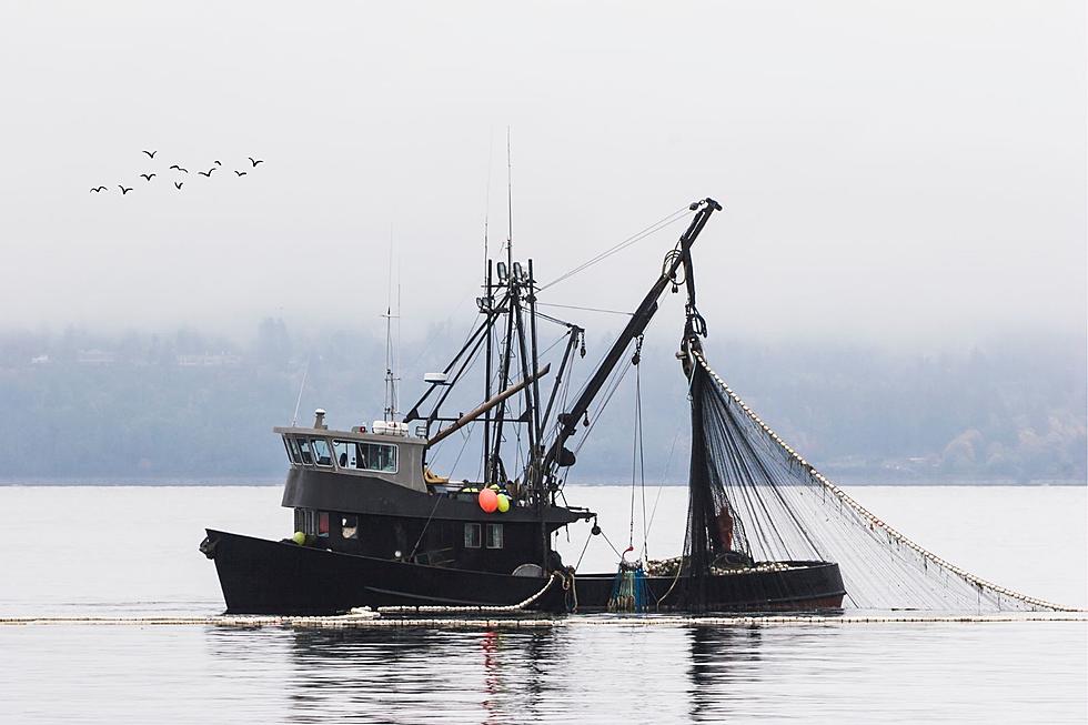 EPA Fines Seafood Co Operating in WA & OR $1Million.