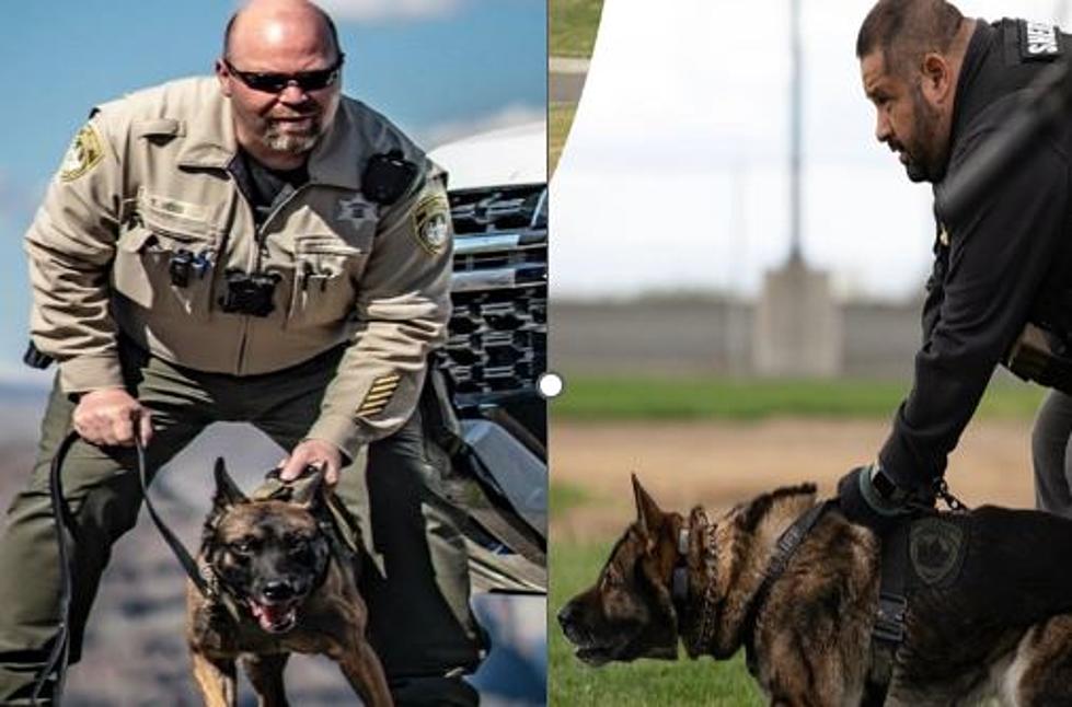 Grant County Bids Farewell to a Pair Of K-9’s