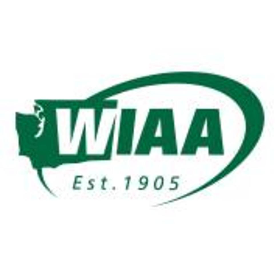 2023 WIAA High School Football Semi-Final Scores