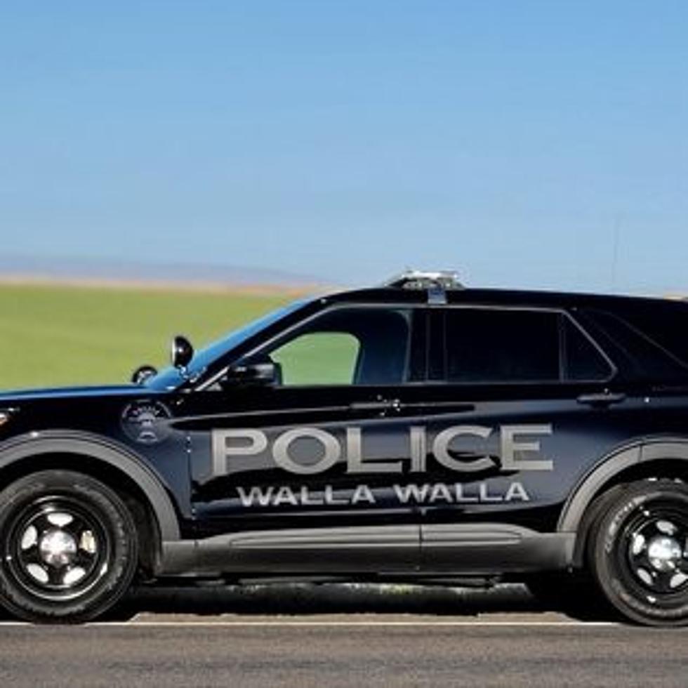 Walla Walla Police Use Spike Strips to Disable Fleeing RV