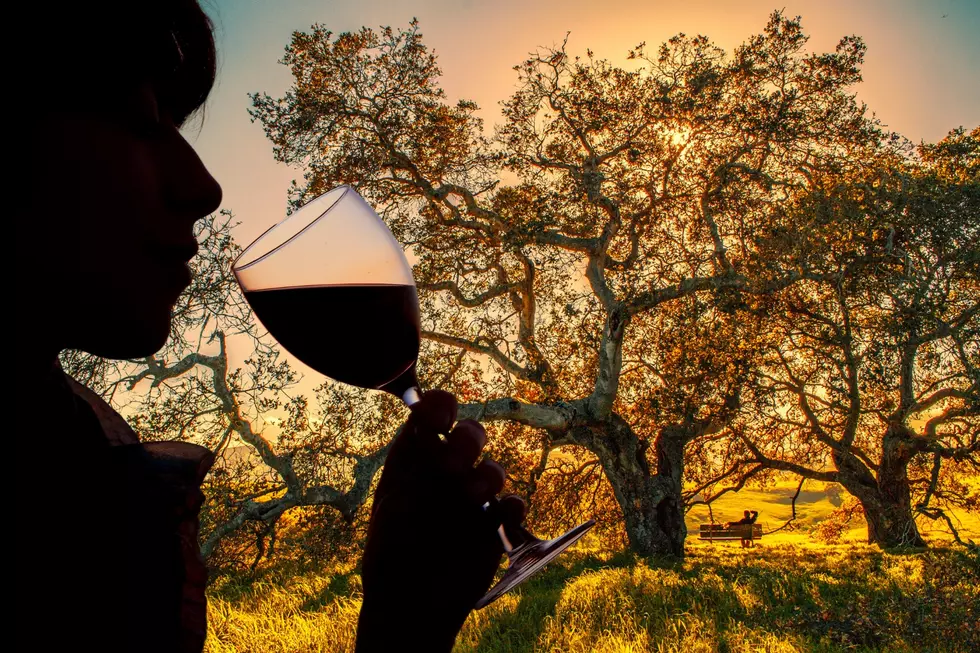 Discover Sonoma County: Top Activities For Wine Lovers