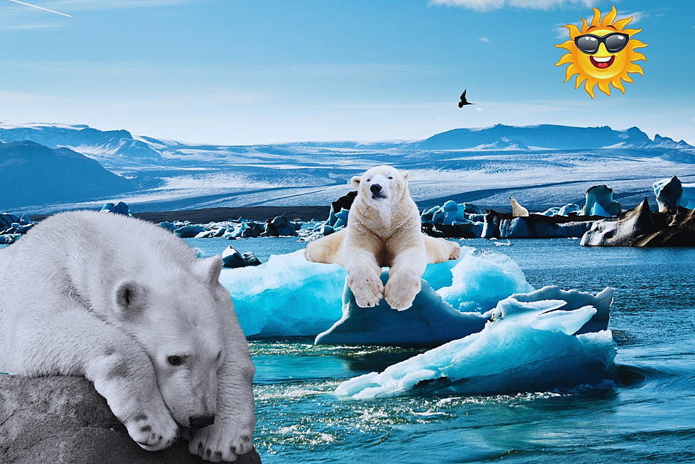 Arctic Meltdown Alert: Urgent Climate Action Needed in Washington