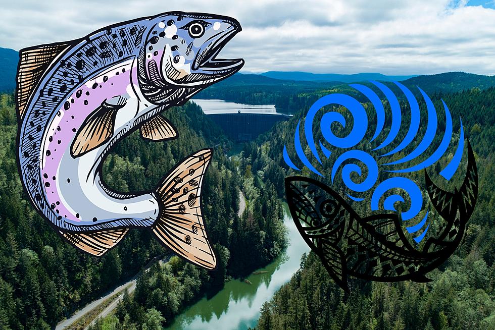 A Strange Disease Devastates Salmon Fry In PNW River.