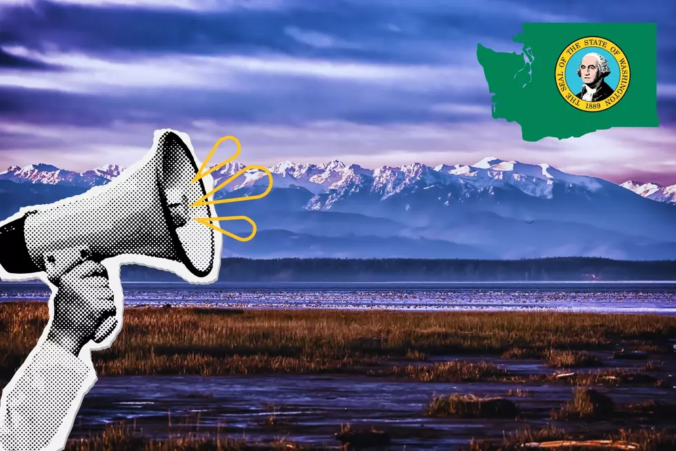Skagit Wildlife Area Management: Your Voice Matters!