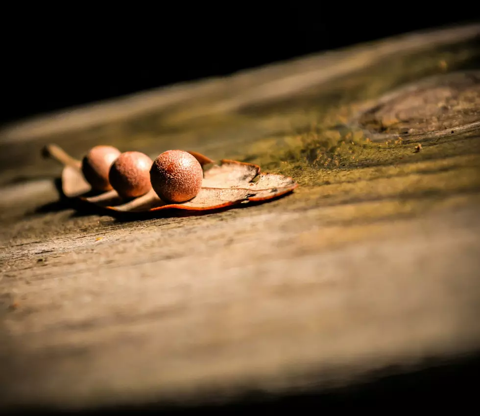 Photo by Steve Richey on Unsplash