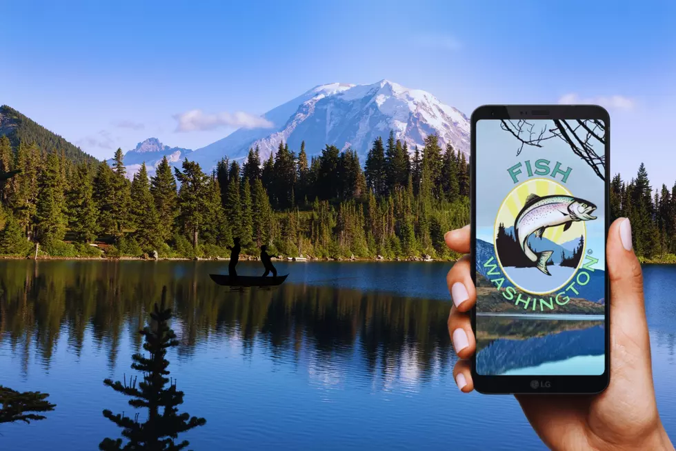Revamped Fish Washington App: A Boon for Anglers Across Washington State