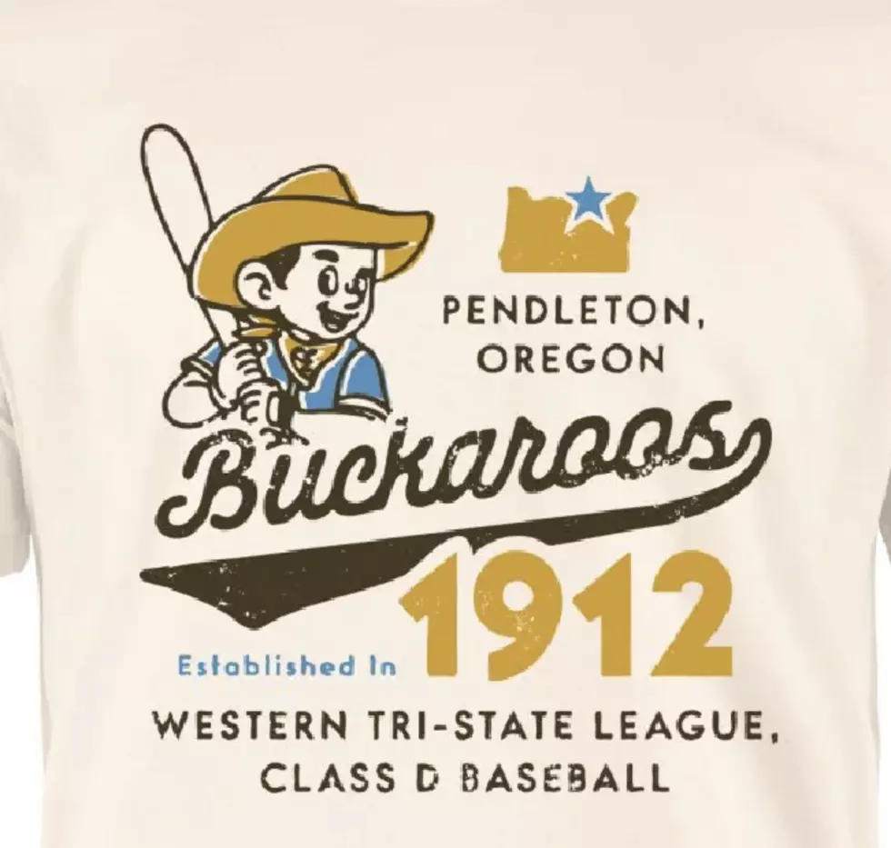 Exploring The Legacy Of The Western Tri-State Baseball League In Oregon, Idaho, And Washington