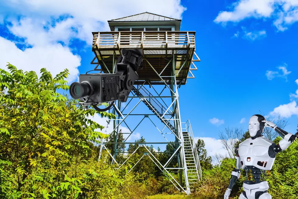 Revolutionizing Fire Monitoring: Green Mountain Cameras Transforming Wildfire Detection