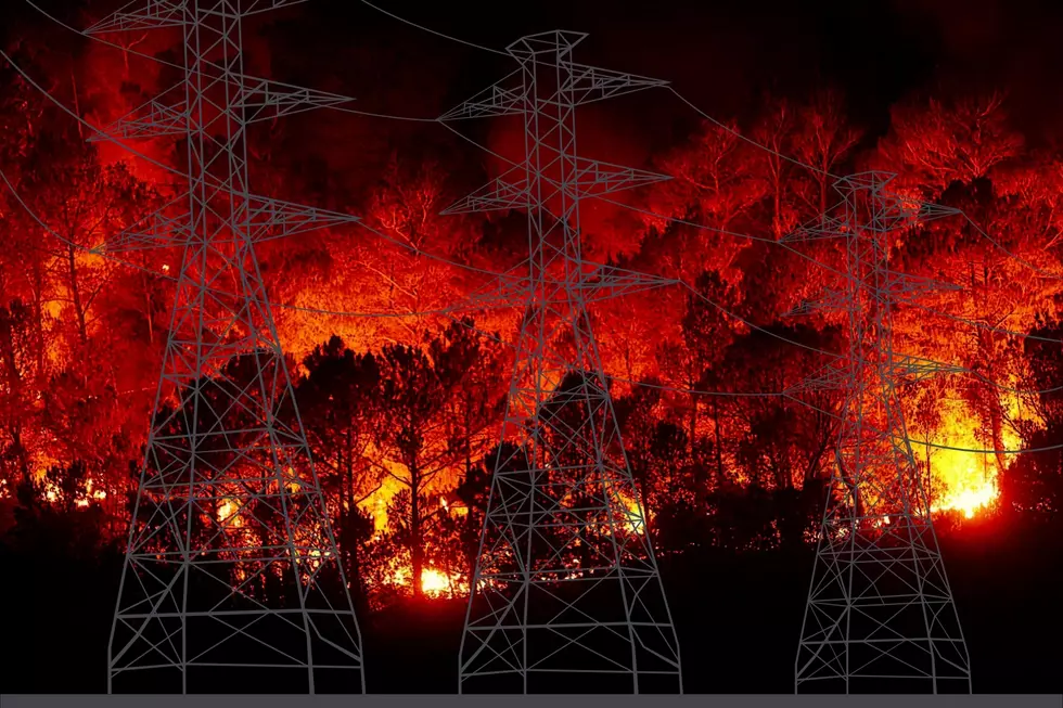 Puget Sound Energy’s Wildfire Safety Plan: Protecting Washington with Public Safety Power Shutoffs