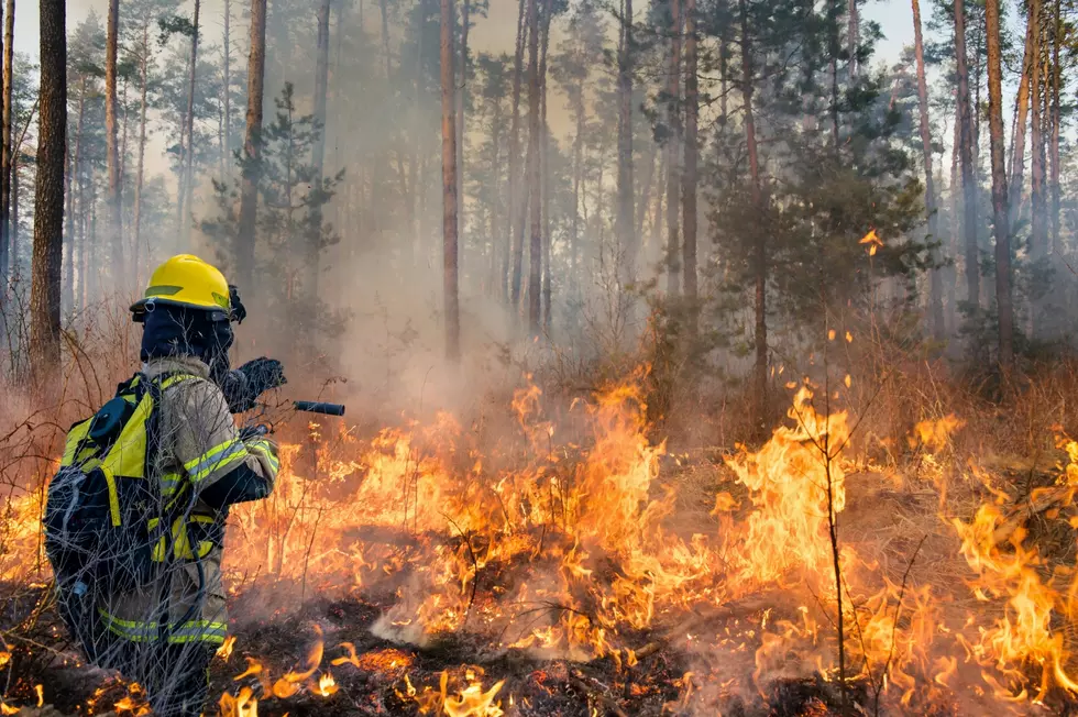 Safeguarding Your Health During Washington State Wildfire Season