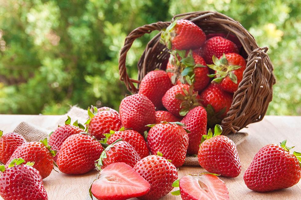 En Oregon también se cultivan fresas con un delicioso sabor