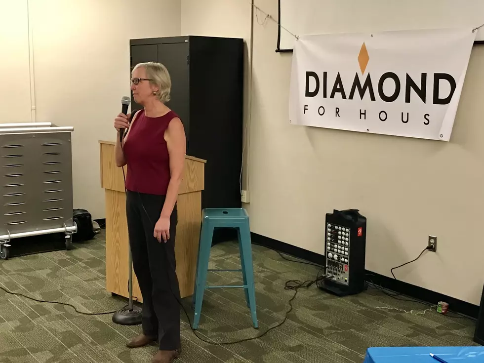 Dr. Ann Diamond to Run for State House Again