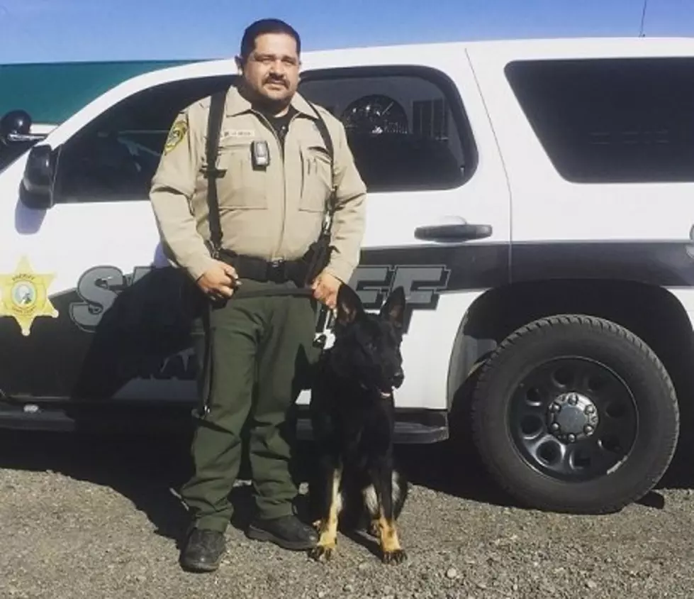 Grant County K-9 saves life of missing Alzheimer’s patient