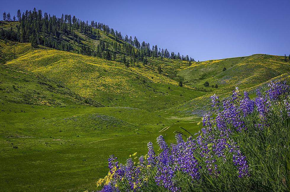 Donation Could Open 10+ Miles for Trails in Hay and Nahahum Canyons