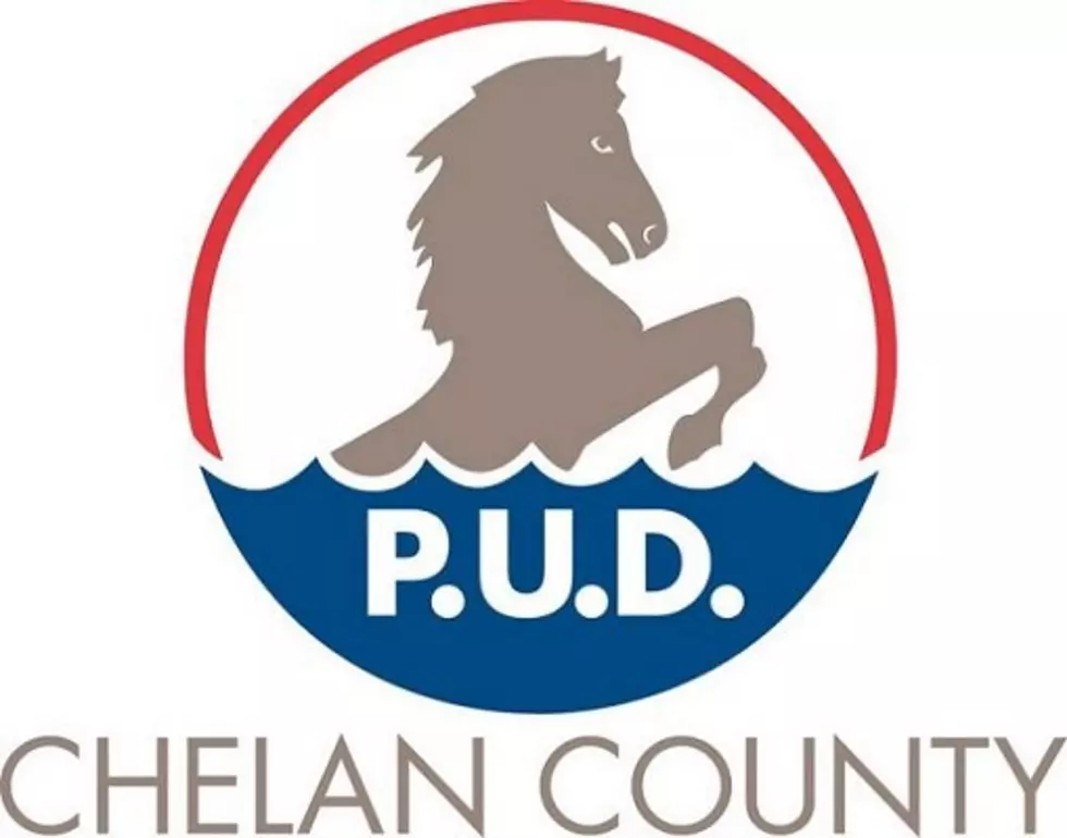 Chelan PUD, County Public Works Auction Saturday