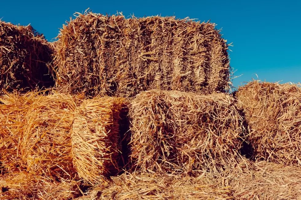 Okanogan County Residents Asked to Watch Their Hay