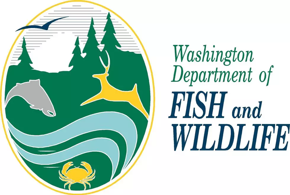 WDFW Restricts Target Shooting at Gloyd Seeps Wildlife Area Unit near Ephrata after Public Concern
