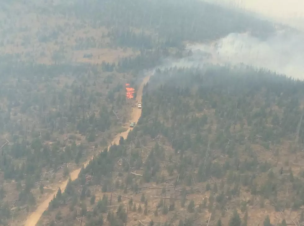 Cougar Creek Fire Burned Mostly at Moderate or Lower Severity