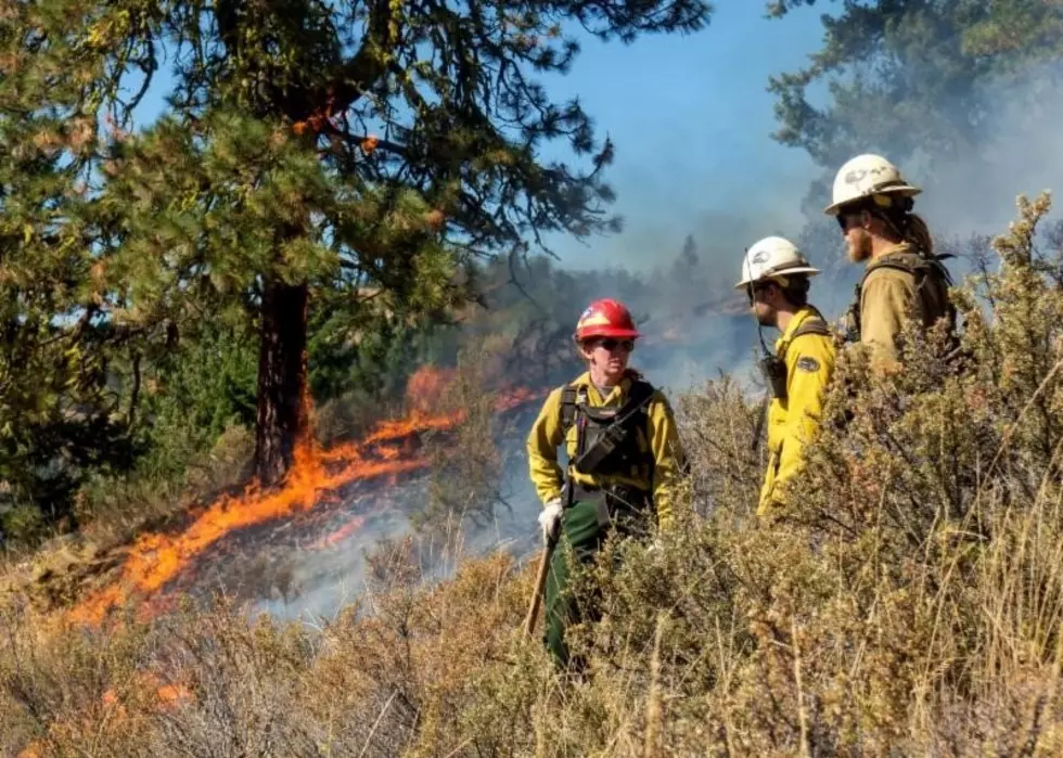 WDFW Plans Controlled Burns for 10,000 acres in Eastern Washington