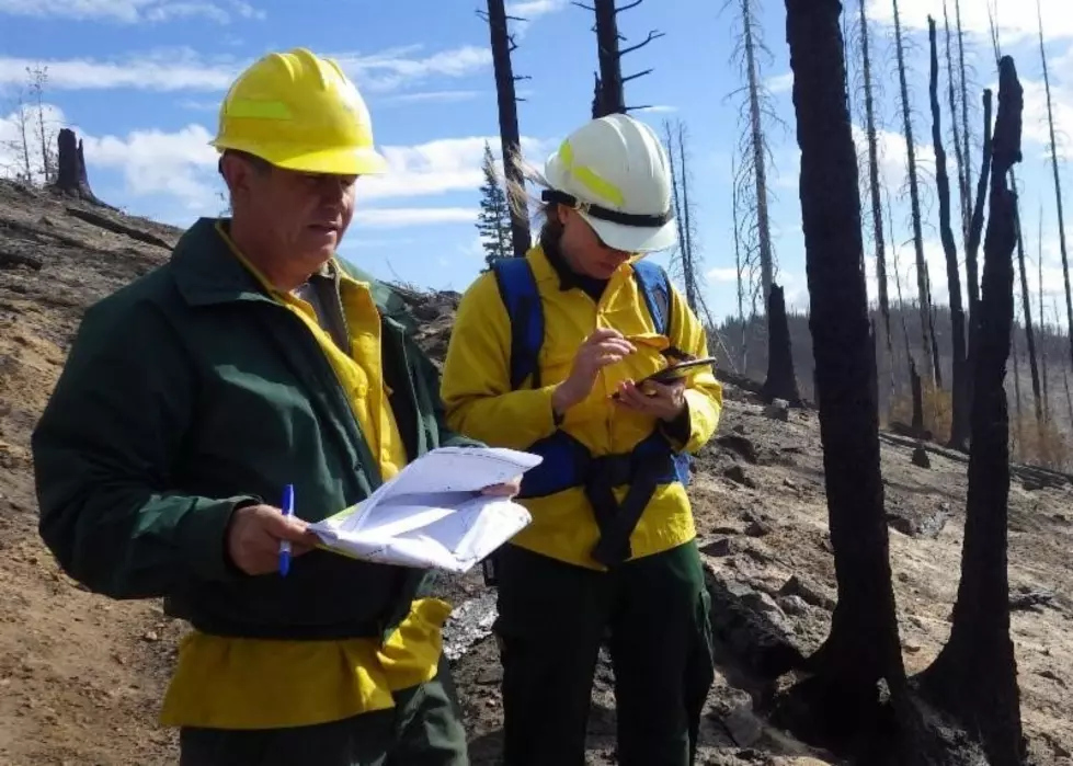 USFS Examining Burned Areas for Additional Risks