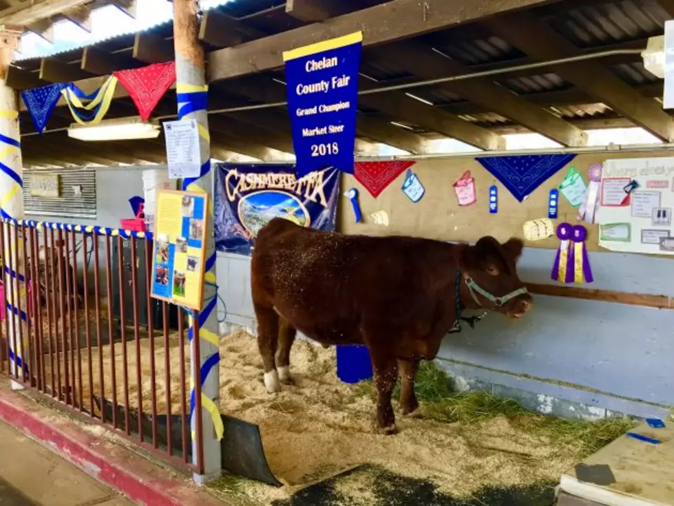 UPDATE-Chelan County Fair Roars to a Close