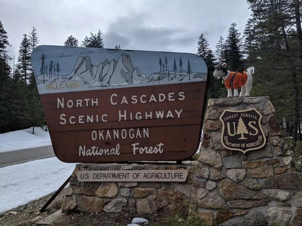 North Cascades Highway Temporarily Closed Amidst Weekend Snow Storms