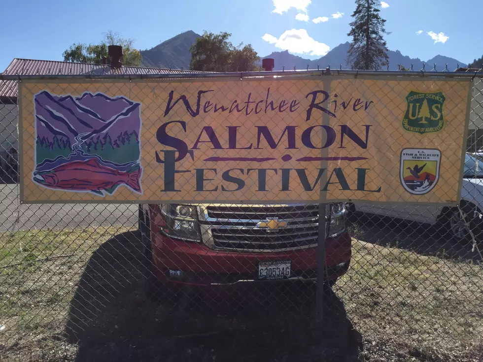 Salmon Festival Announces 2020 Cancellation