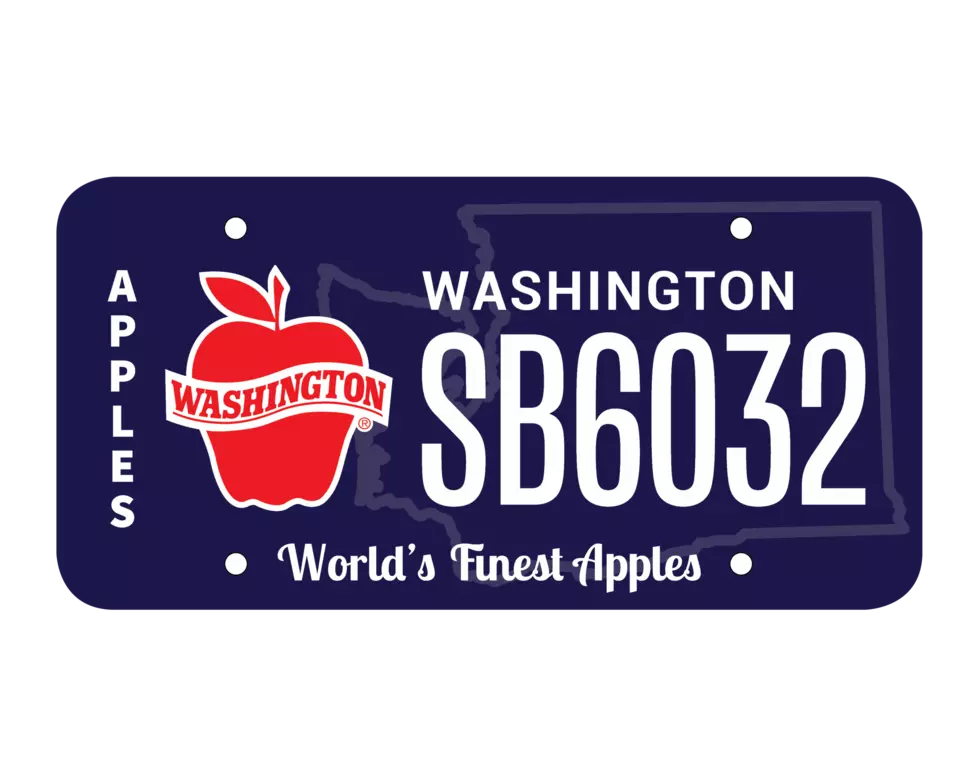 A New Washington License Plate Doubles as Donation to Education Foundation