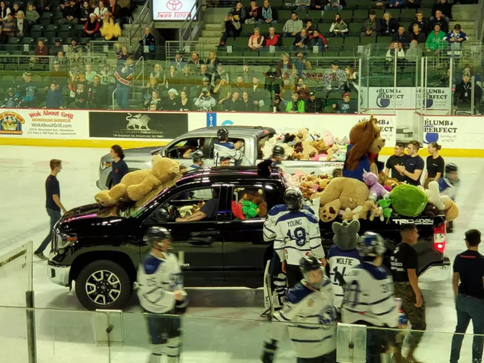 Teddy Bear Toss to Donate Large Amount of Stuffed Animals to Kids in Need