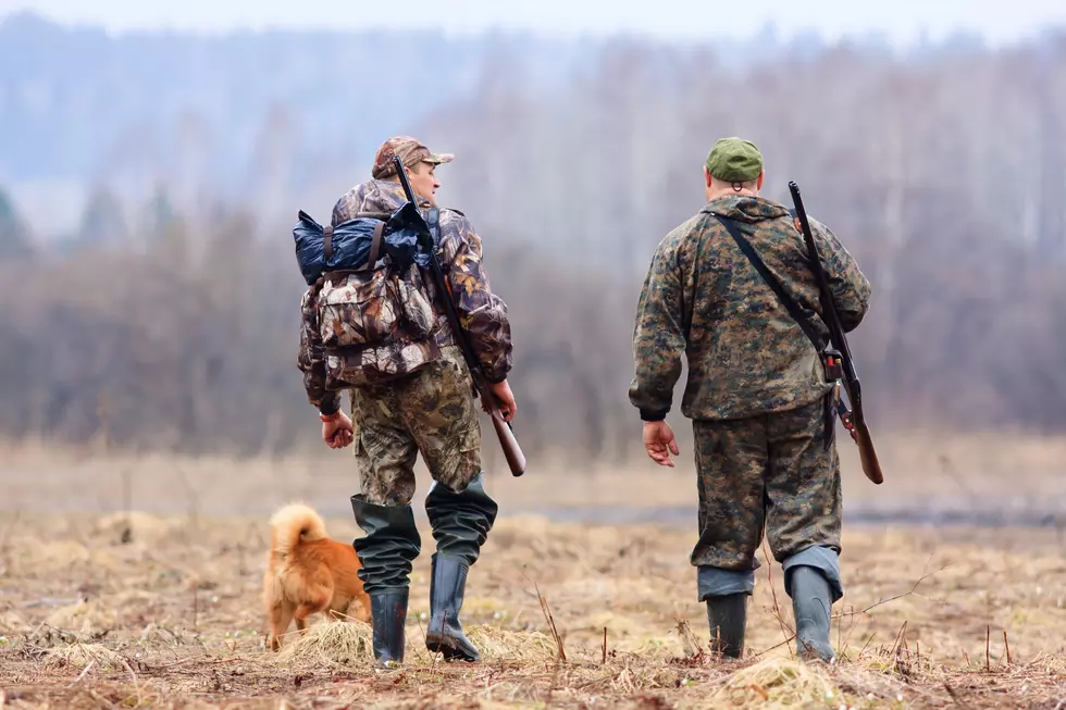 WDFW Requests Public Input for 2020-2021 Hunting Season