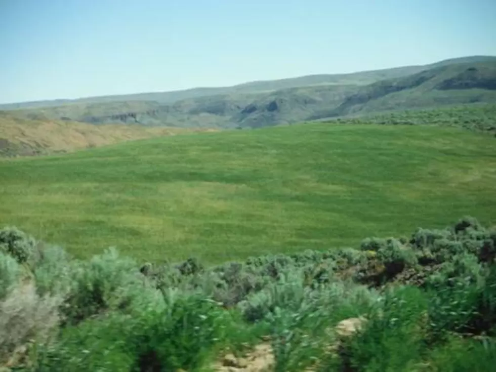 Chelan Douglas Land Trust Enters Agreement to Protect Family Ranch, Greater Sage-Grouse