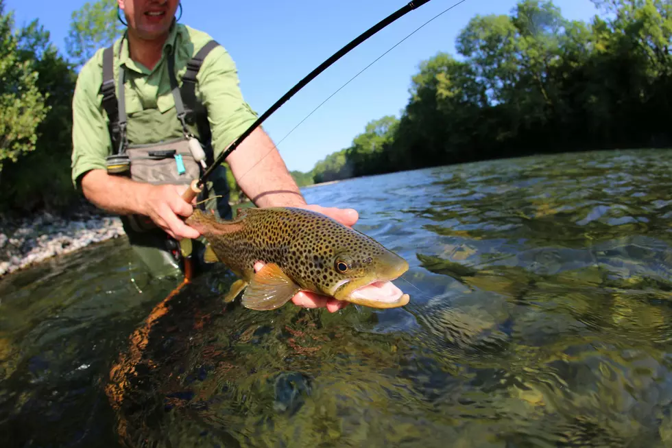 Trout Fishing Derby Has New Location This Year