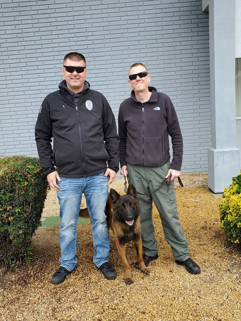 Soap Lake Police Awarded Grant for K9 Vehicle