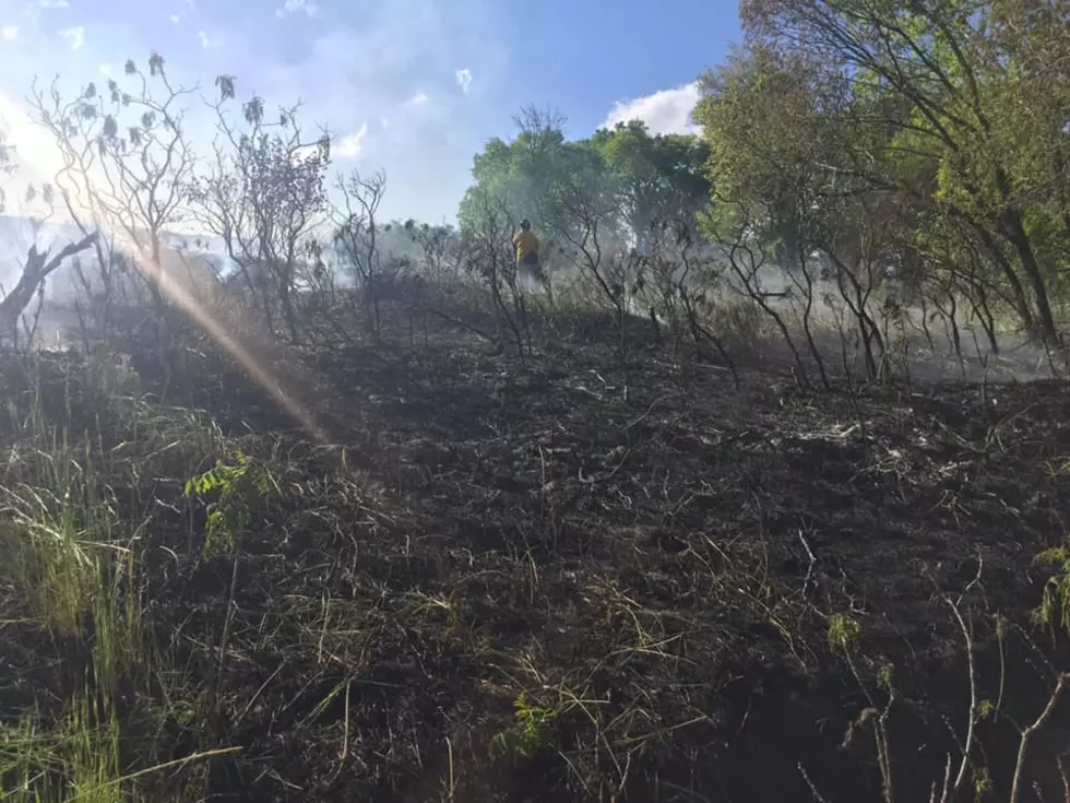 Controlled Burn Gets Out of Control in South Wenatchee
