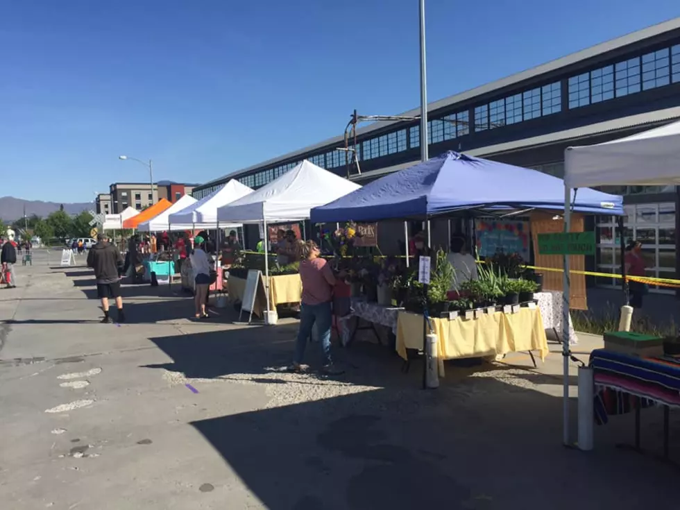 Wenatchee Valley Farmers Market Opened for the Season Saturday