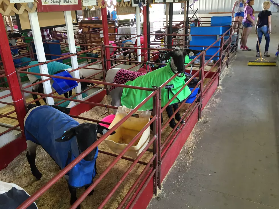 2020 Edition of Grant County Fair Canceled