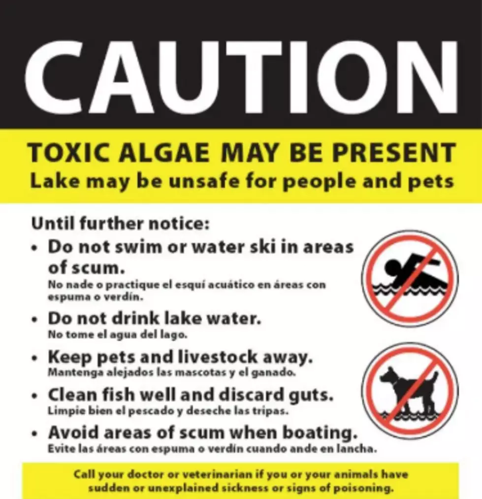 Grant County Health District Confirms Toxic Algae on Moses Lake