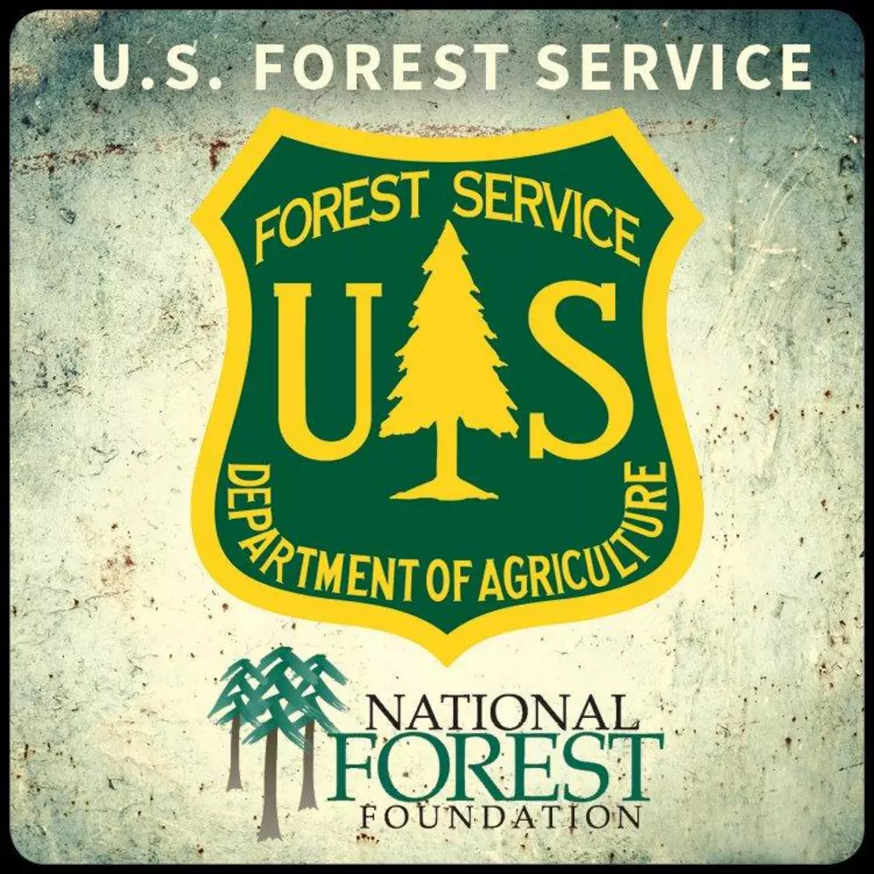 Forest Service Assessment Looks to Future Planning, Highlights Forest Concerns