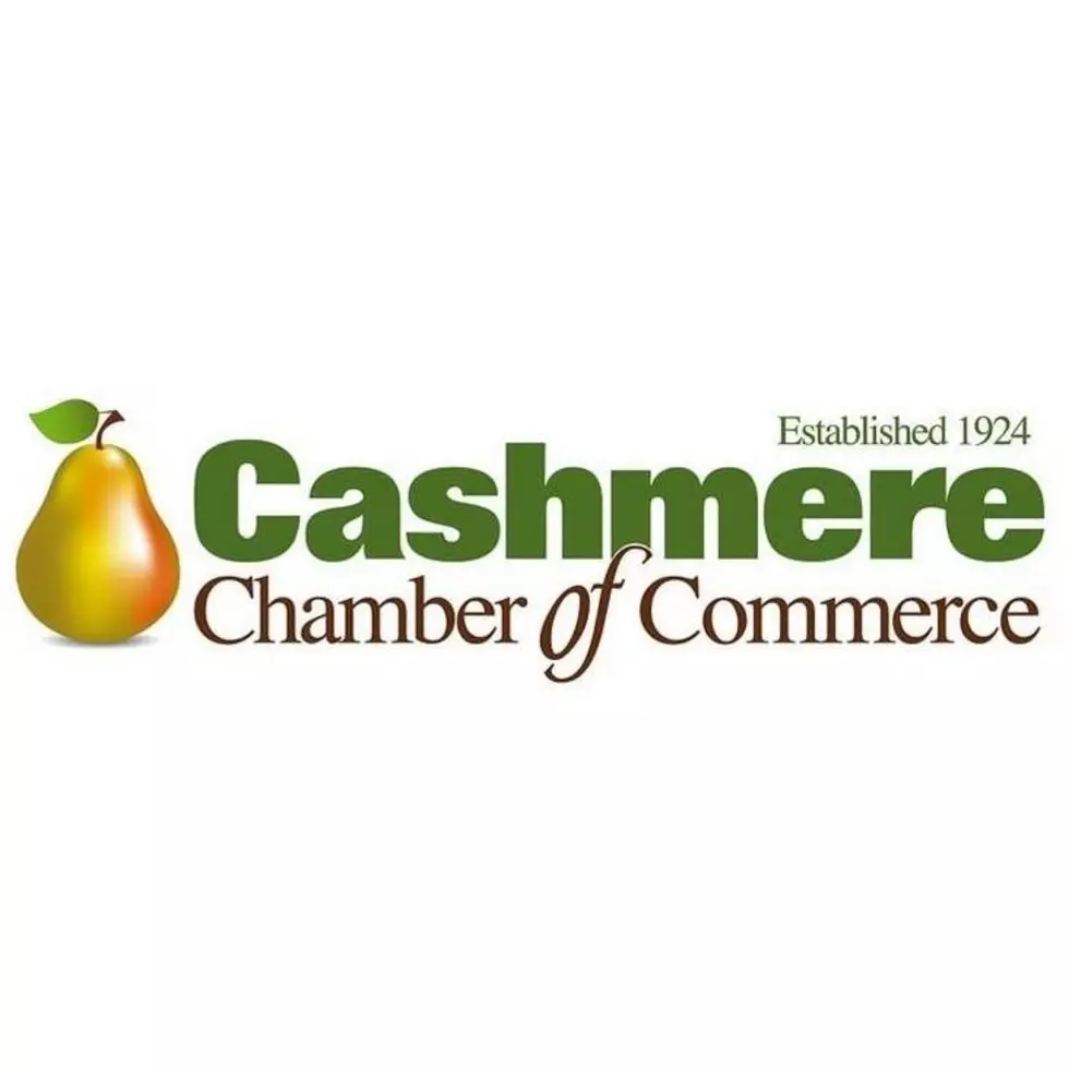 Cashmere Chamber Organizes Roundnet League for Community