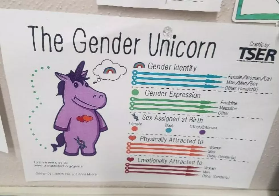 &#8216;Gender Unicorn&#8217; Poster at Elementary School Causing Controversy