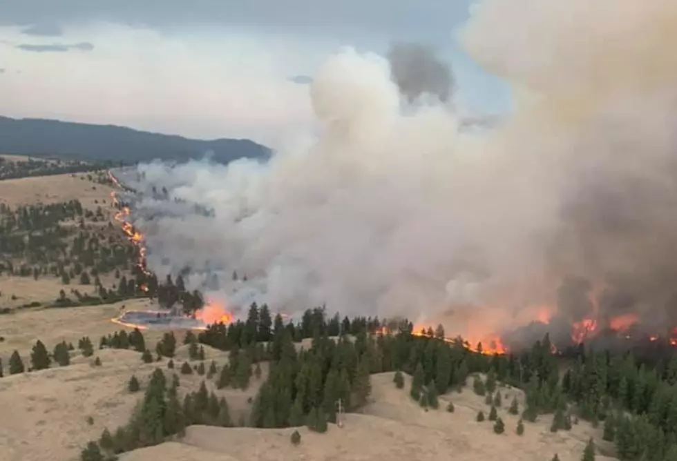 Cheweah Fire Now Over 37,000 Acres, 20% Contained